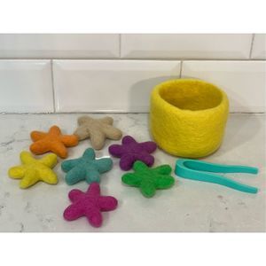Colorful Felt Starfish Sorting Set